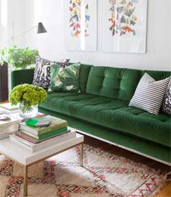 Green Velvet Sofa in Living Room - Decorating Ideas